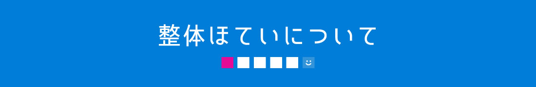 整体ほていについて