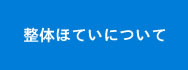 整体ほていについて